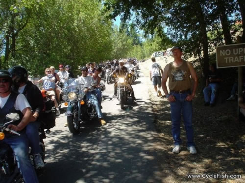 Redwood Run 2004 - Cruising the Rally