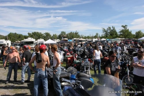 Harley Rendezvous - Crowd