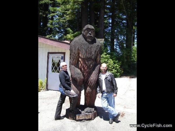 Even Bigfoot hits the Redwood Run