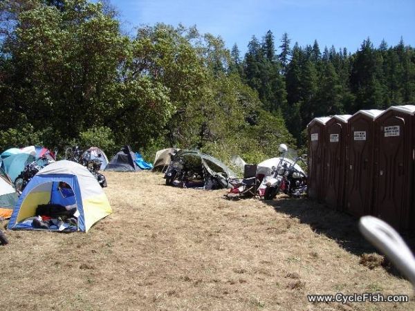 Redwood Run - Camp