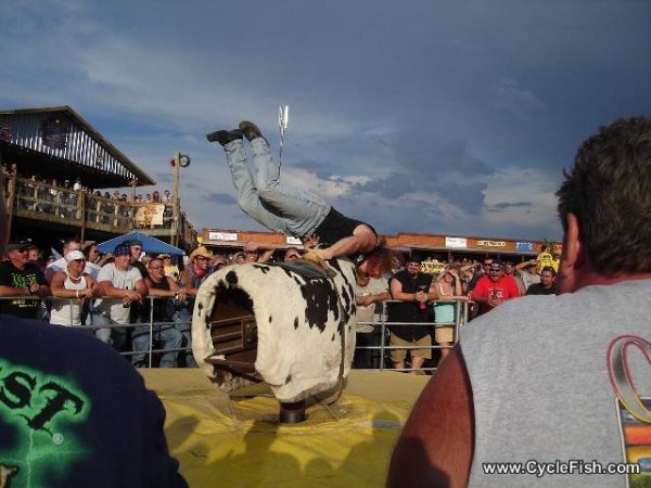 Full Throttle Saloon Sturgis - Bull