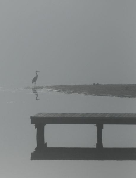 Herron, Dock and Isle