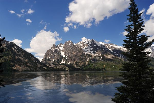 Jenny Lake