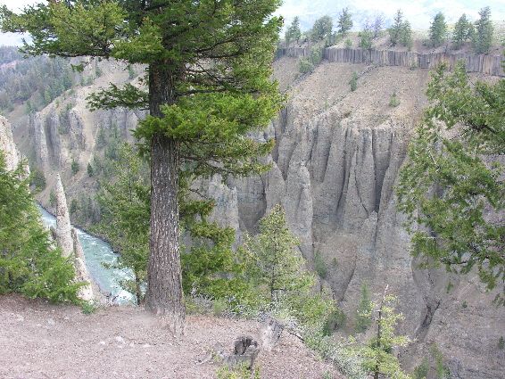 Amazing Pinacles in Yellowstone