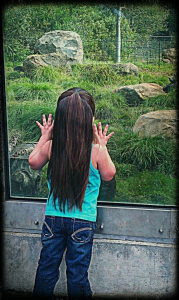 Audrey at the zoo