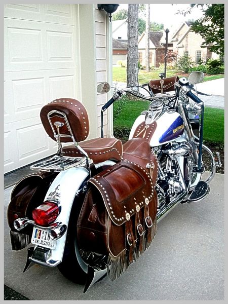 Full bagger livery in brown