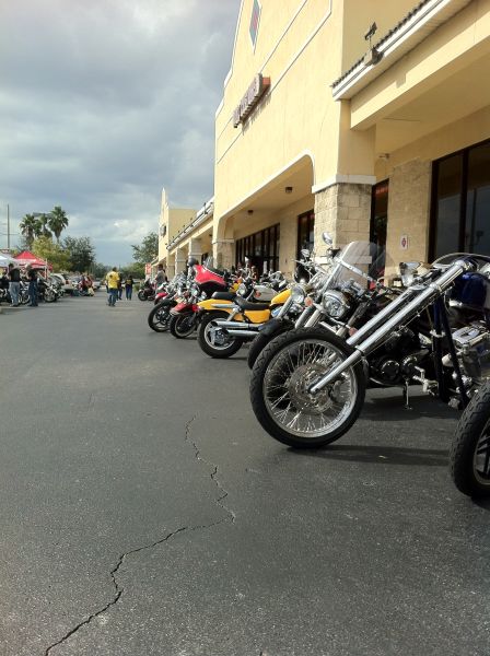 Choppers and cruisers lined up for the photo shoot