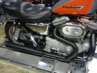 my sons sportster