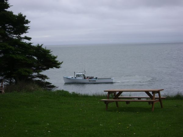 Lobster boats out front