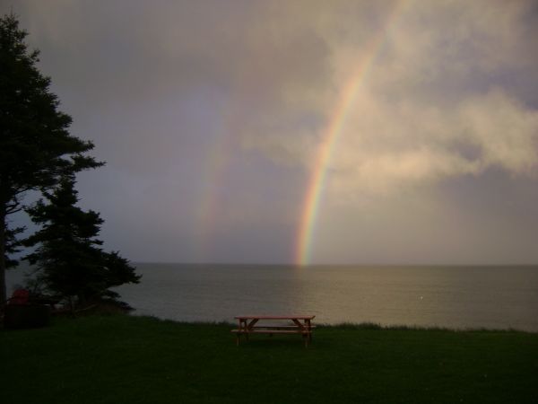 Rainbow&#039;s out front