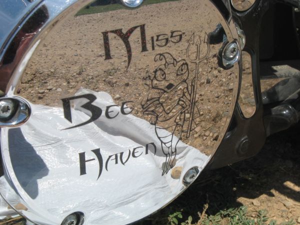 Miss Bee Haven