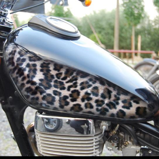 Leopard Skin Bike