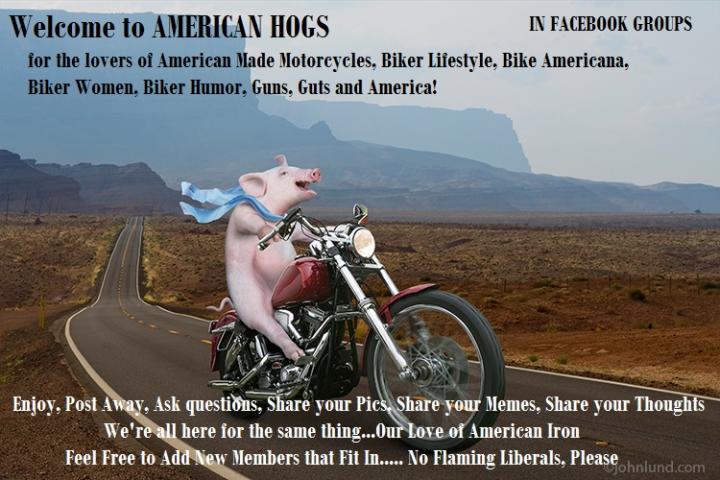 AMERICAN HOGS