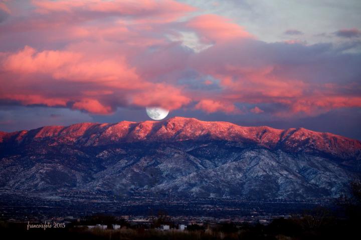 Albuquerque NM