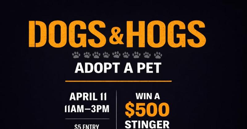 Dogs & Hogs