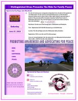 2015 Ride for Family Peace
