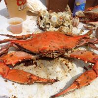 Island Bay Day Crab Feast
