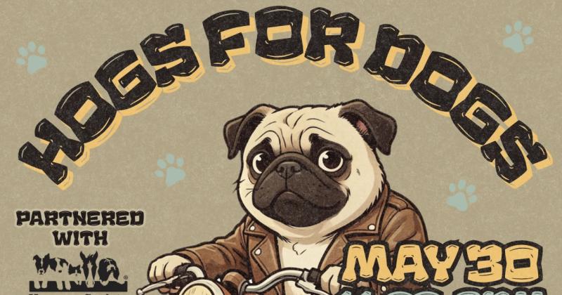 Hogs For Dogs