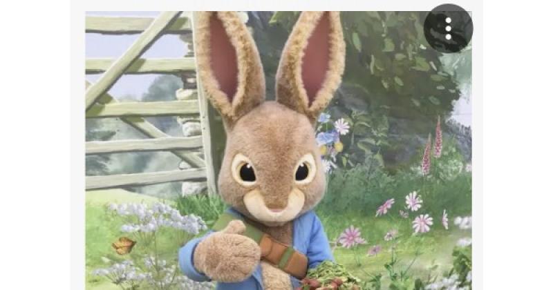 Bikes, Baskets, and Bunny Pics