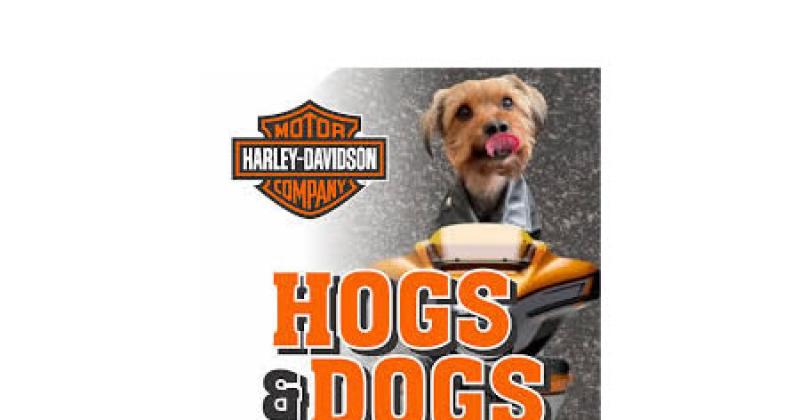 Hogs and Dogs