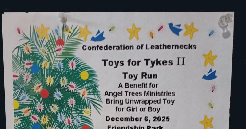 Toys for Tykes II