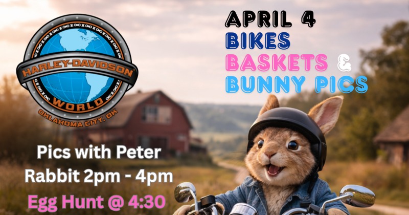 Bikes, Baskets, and Bunny Pics