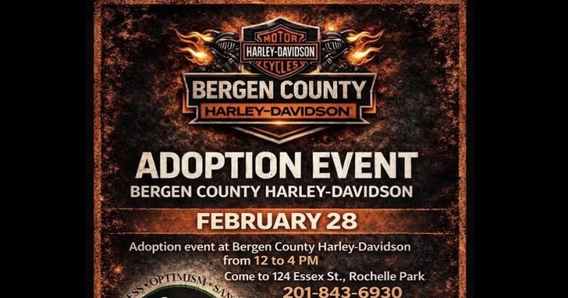 ADOPTION EVENT at Bergen County Harley-Davidson