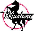 Mustang Nationals & Southeastern Cushman Club Show * CANCELED * 