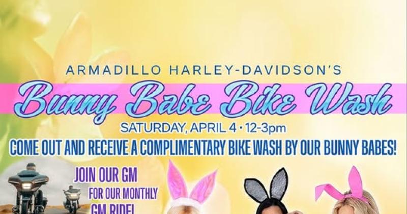 Bunny Babe Bike Wash