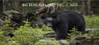 Open & Free Big Bear Run For All Bikers