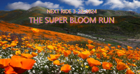 CANCELED -  The Super Bloom Open & Free Run