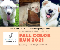 Fall Color Run