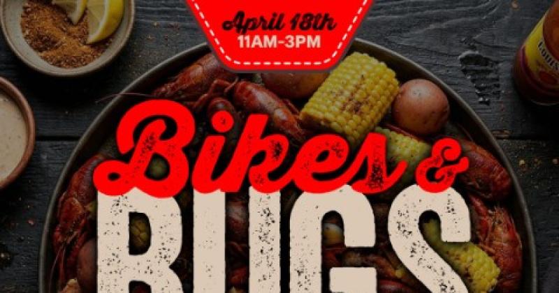 Bikes and Bugs at Bumpus Harley-Davidson