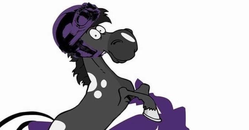 Save a Horse, Ride a Hog Charity Ride and Fun Fest