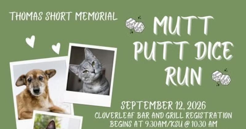 Mutt Putt Dice Run