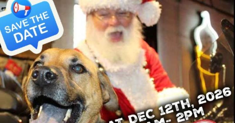 Free Photos with Cool Santa!
