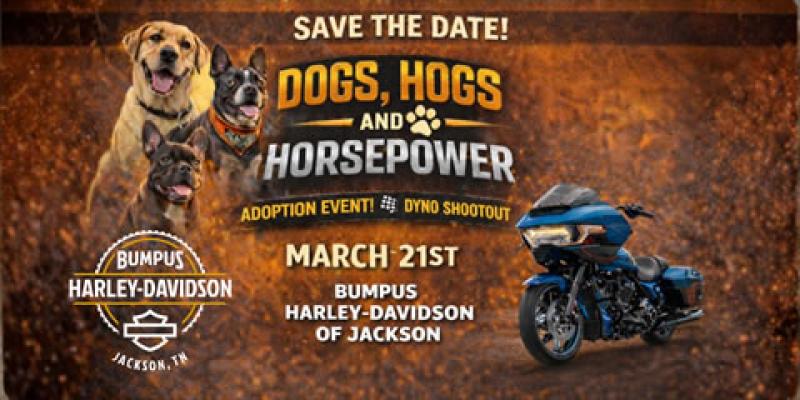Dogs, Hogs & Horsepower