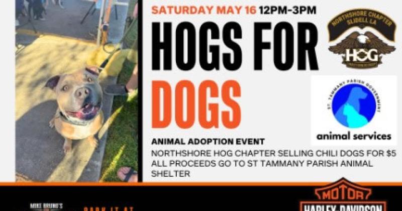 Hogs for Dogs