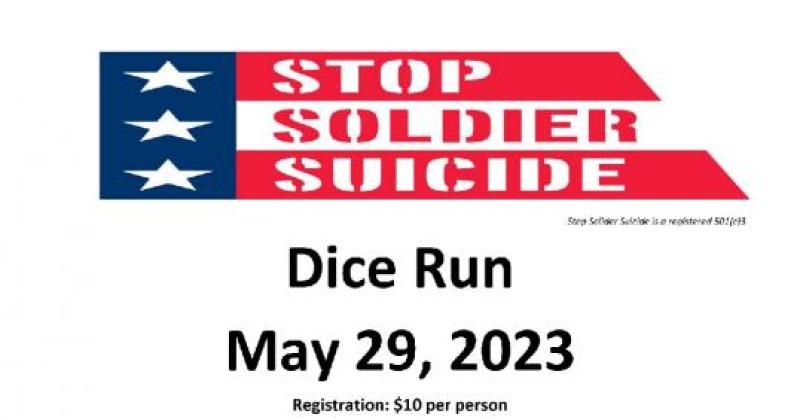 Stop Solider Suicide 