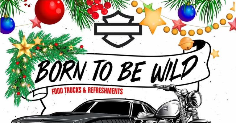 Born to be wild: Classic Cars and Vintage Bikes Show