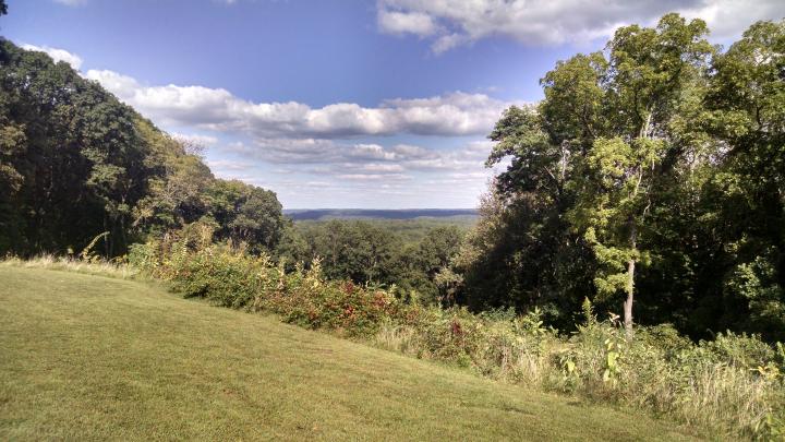 Scenic View