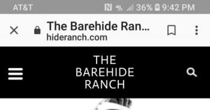 Barehides 2nd Annual Nude Motorcycle Rally 