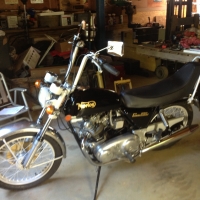 Norton