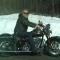 bullmoose